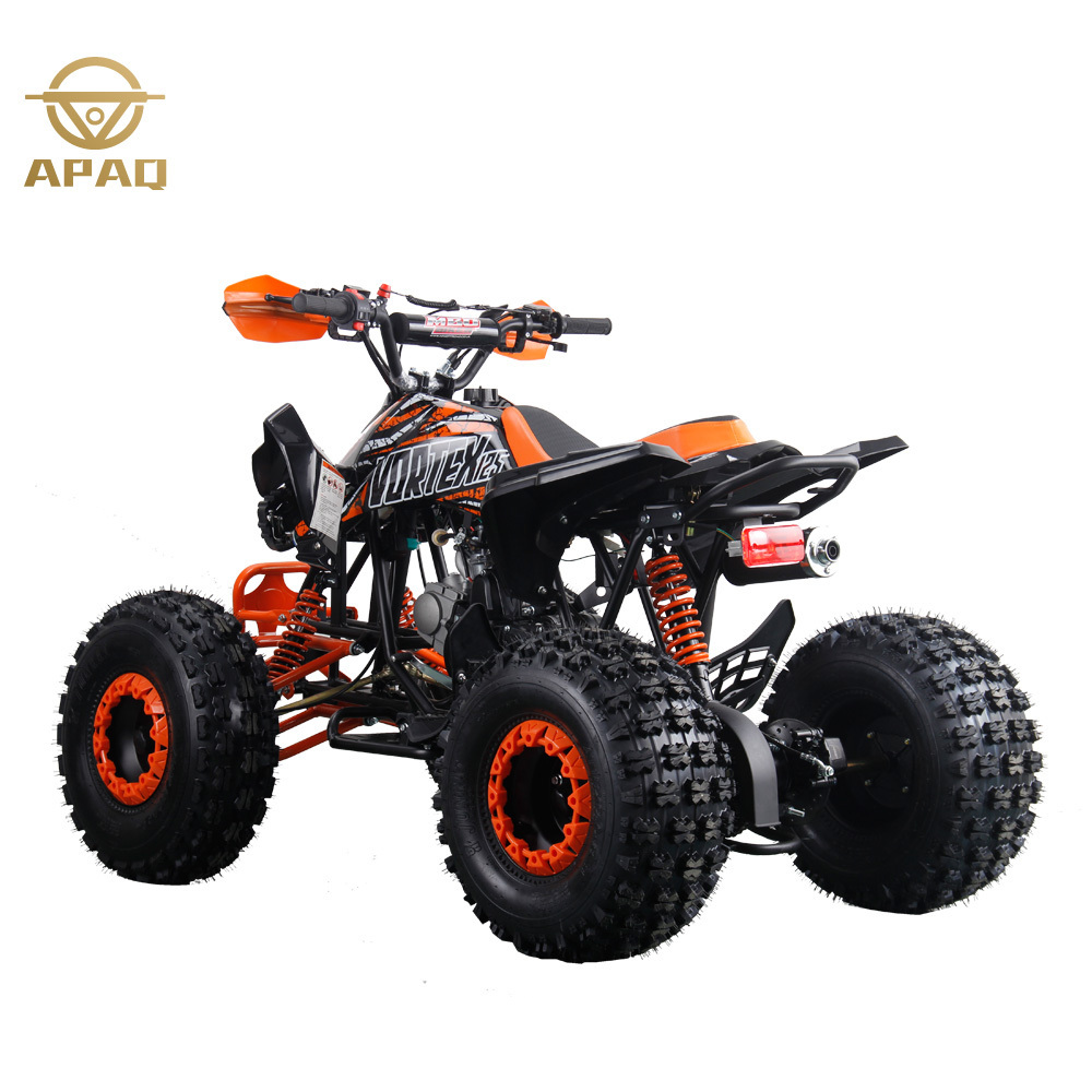 New 125cc Quad ATV Adult Sport Four Wheeler Quad Bike 110cc Kids for sale