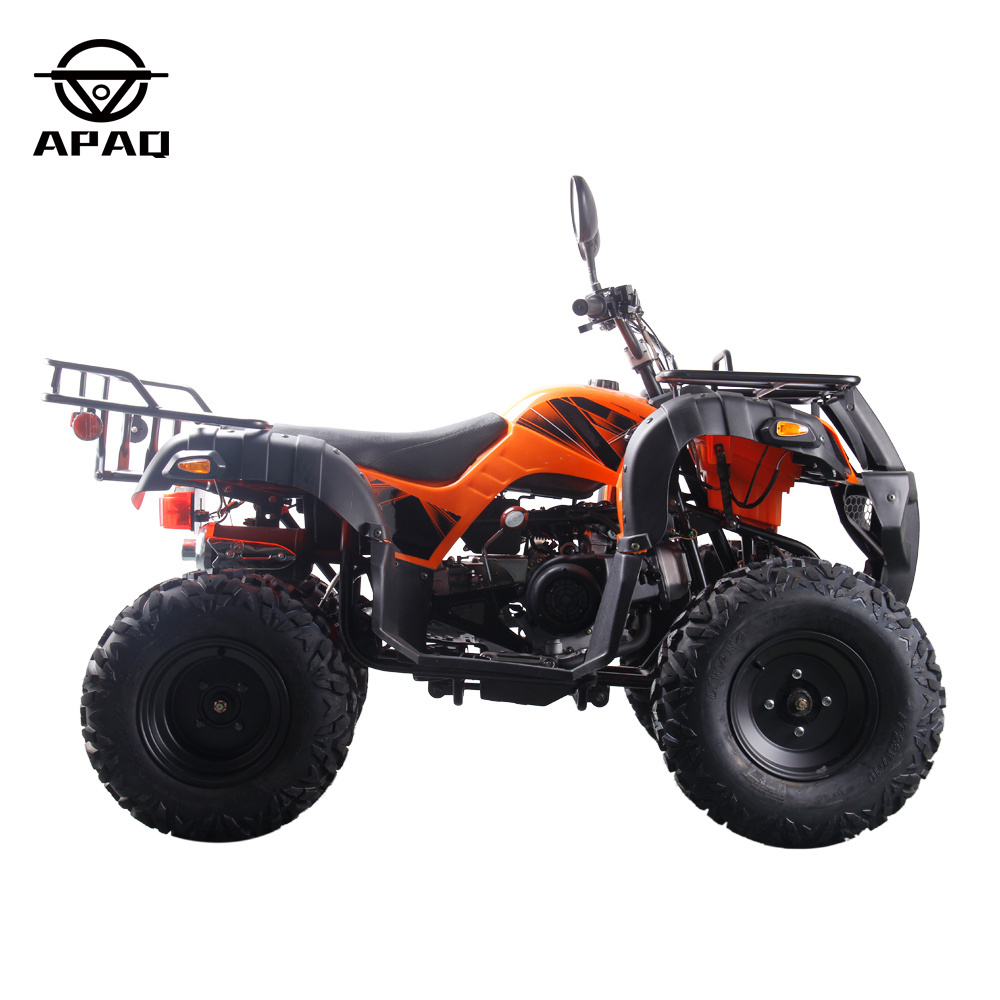 10inch 150cc 200cc 250cc Petrol ATV Quad Bike with CE