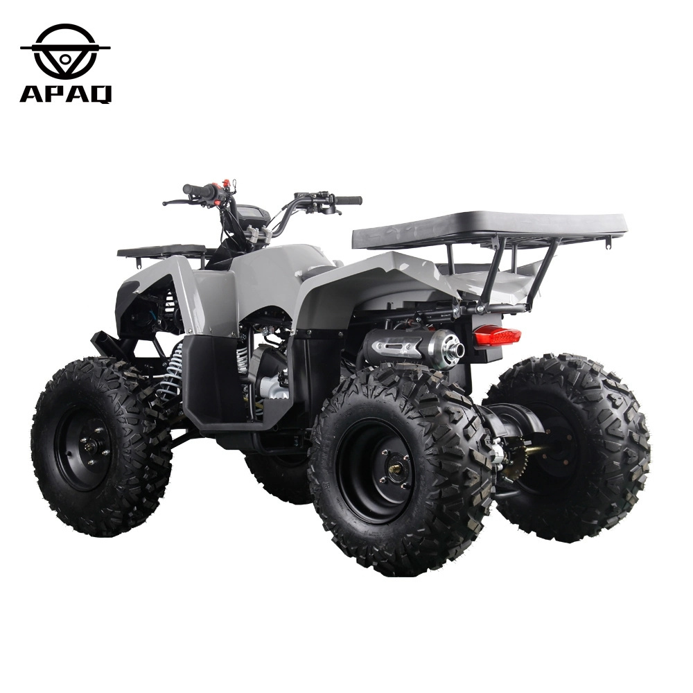 APAQ 300CC ATV 250CC ATV 200cc GY6 CVT automatic ATV quad bike