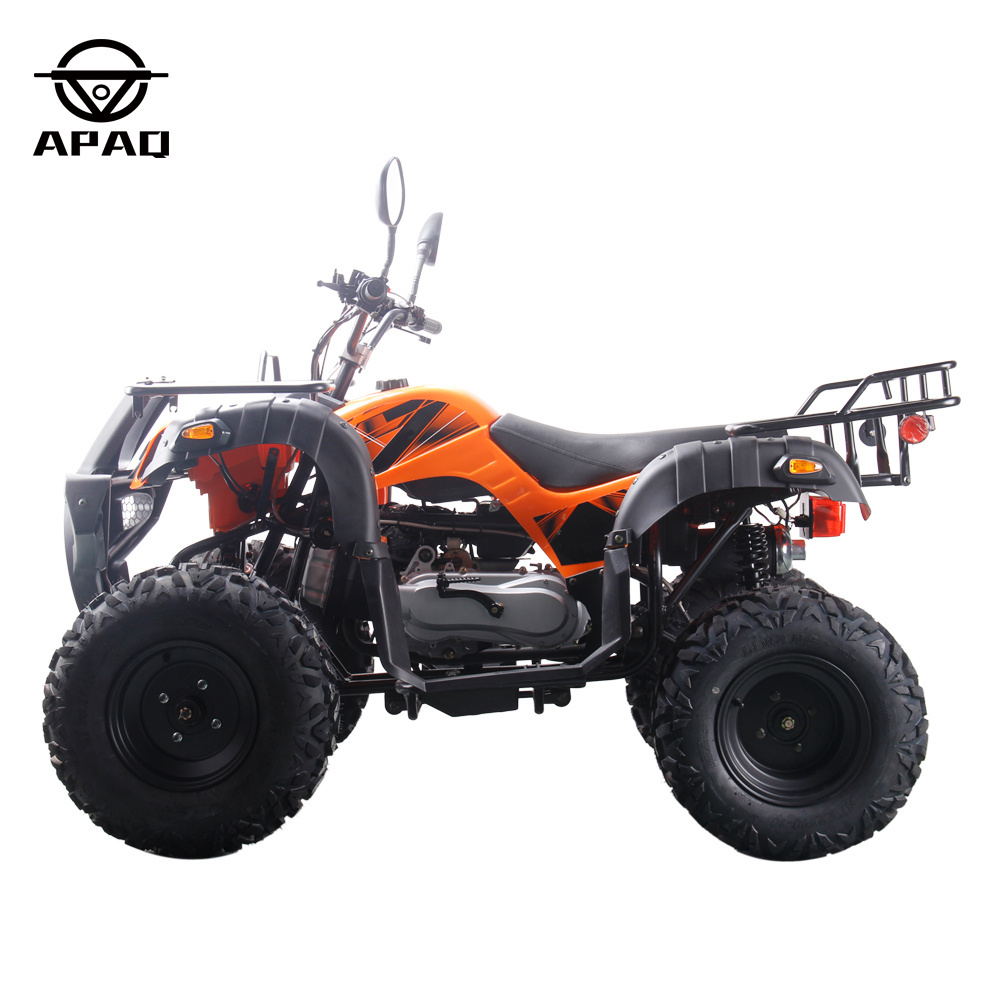 10inch 150cc 200cc 250cc Petrol ATV Quad Bike with CE