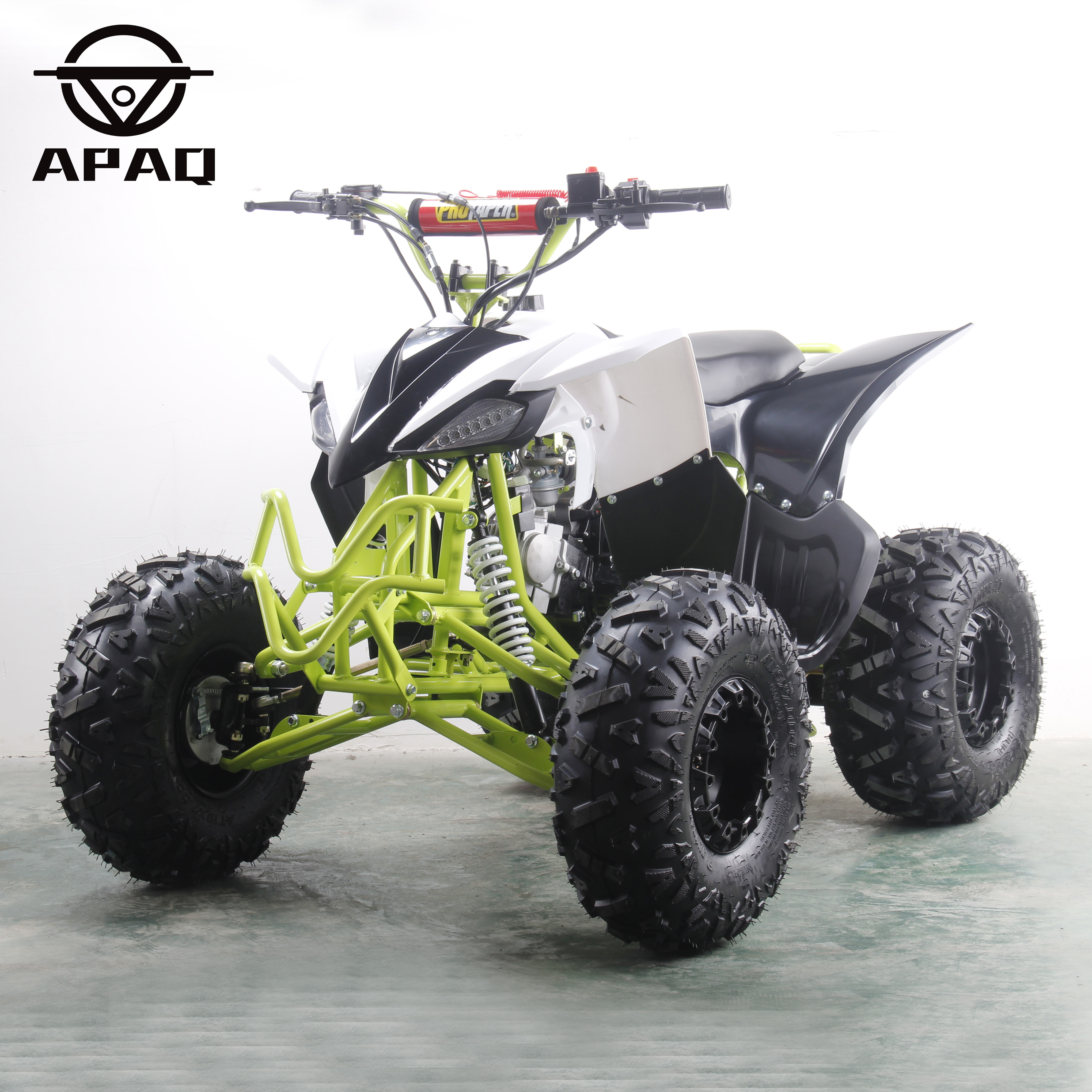 Raptor new 125cc ATV quad bike 125cc cheap four wheeler adult