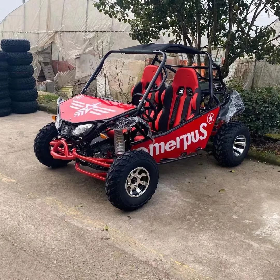 200cc gas go kart 4 stroke buggy 2 seat for adult