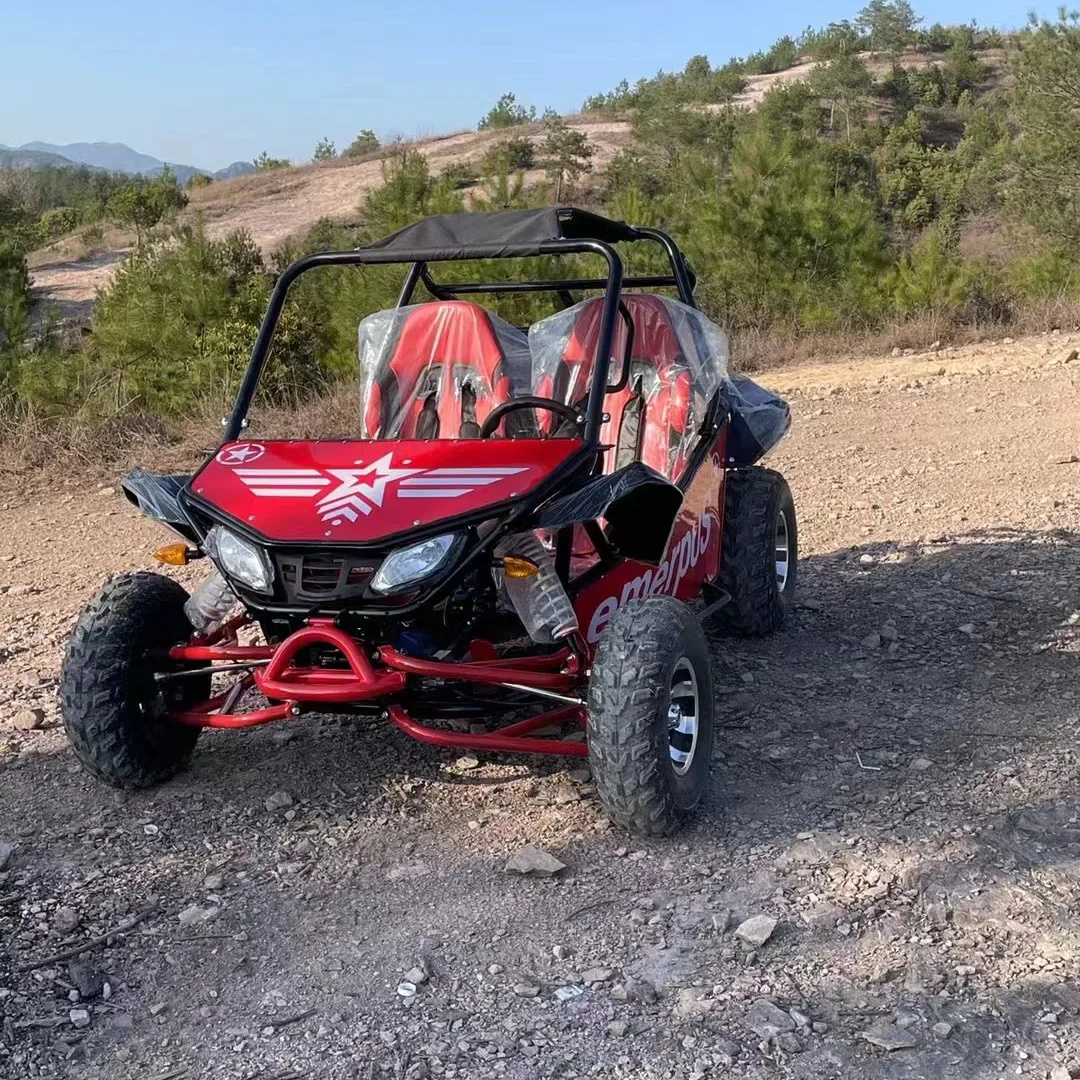 200cc gas go kart 4 stroke buggy 2 seat for adult