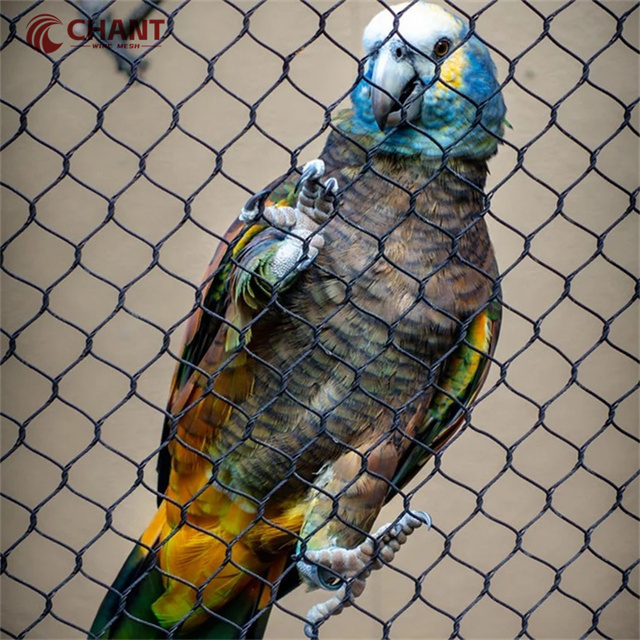 Lightweight Stainless Steel SUS304 316 316L Macaw Aviary Wire Netting Plain Weave Bird Aviary Mesh Panels for Zoo