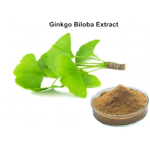 OEM Ginkgo Biloba Pills and Herbal Leaf Supplement Supports Brain Function Mental Alertness Ginkgo Biloba Extract Soft Capsule