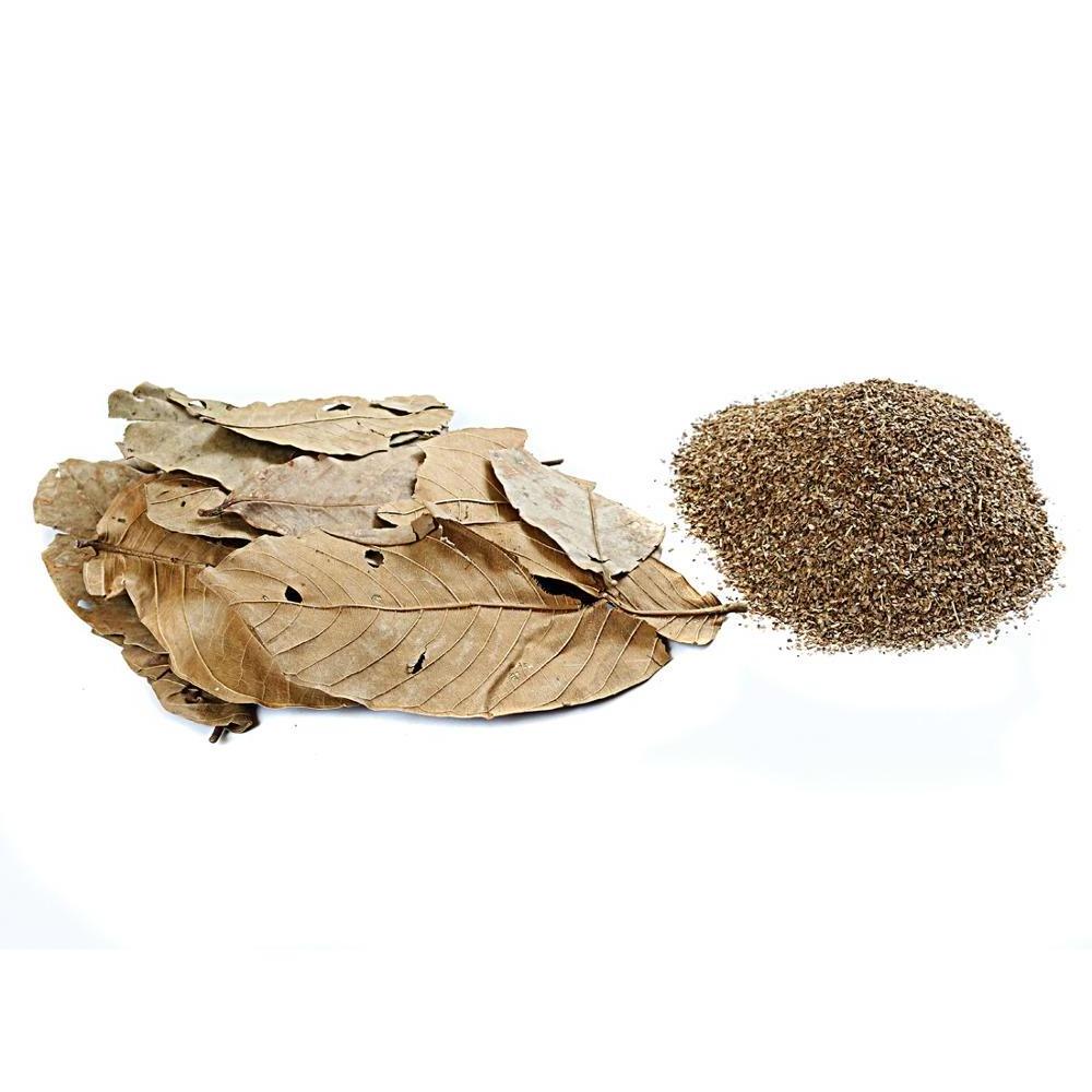 DRIED Banaba Leaf  Lagerstroemia speciosa leaves