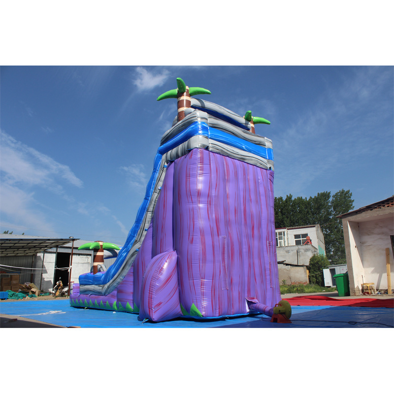 chteau gonflable professionnel bounc for housed kid jumping castle commercial apexscn view hot sale 2024 jumping pvc castles