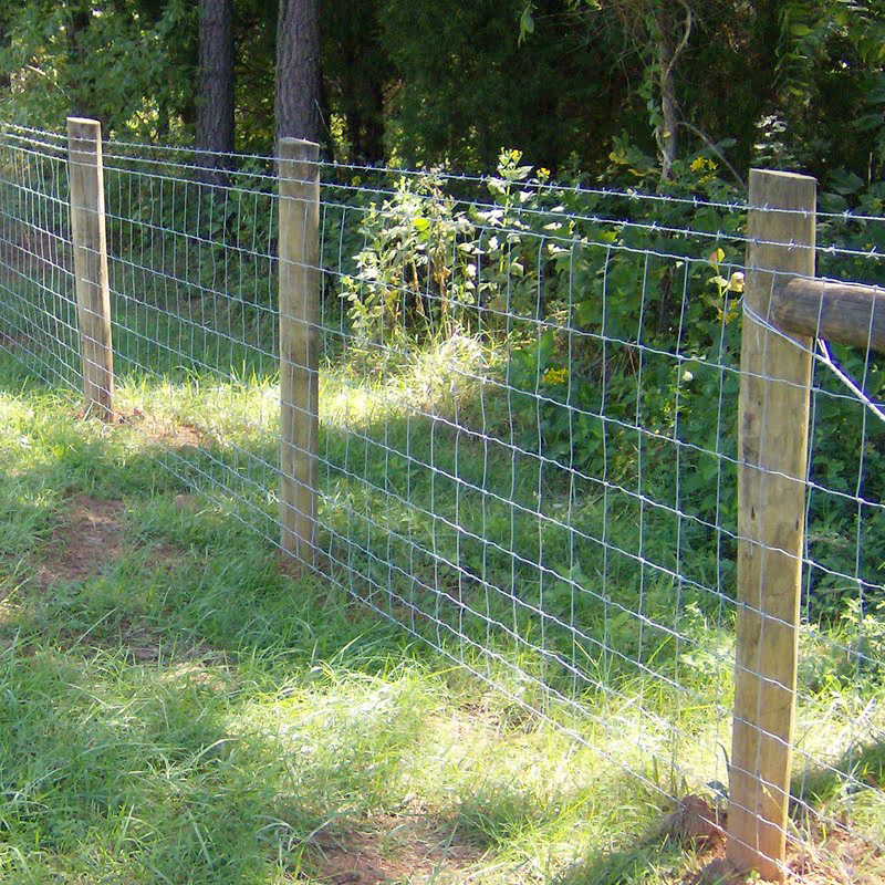 cheap 4 ft 5 ft goat fencing galvanized farm field wire mesh cattle fence price