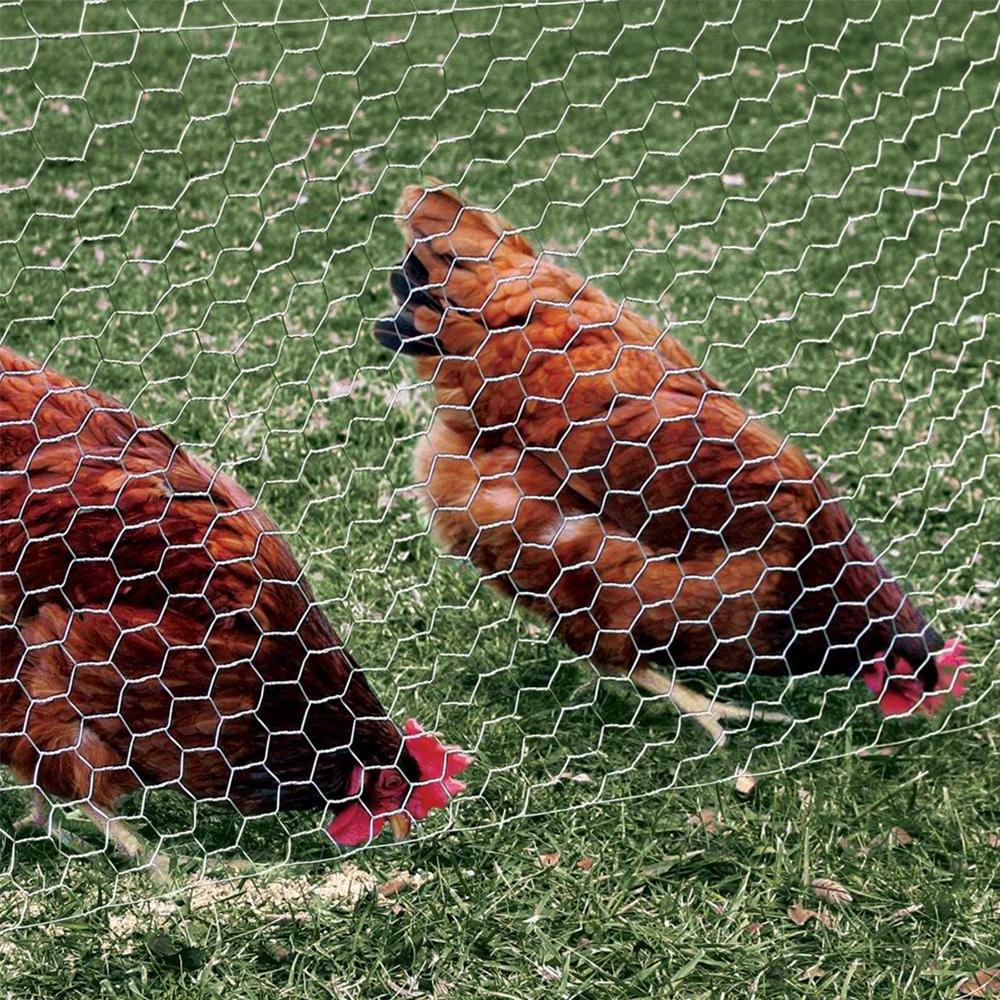 PVC coated farm fencing hex netting hexagonal chicken cage net for breeding 50mmx75mm