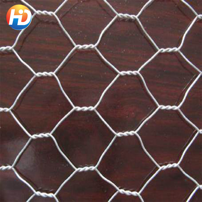 Good Selling Hot Dipped Galvanized Small Hole 1/4 Inch Chicken Wire Panels