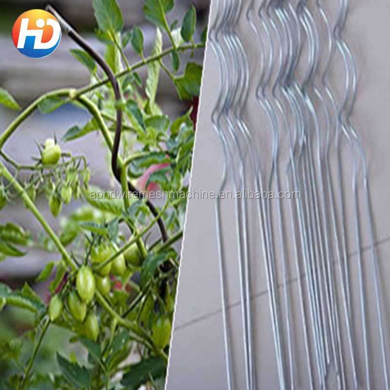 tomato spiral wire/plant support wire/ tomato growing stake