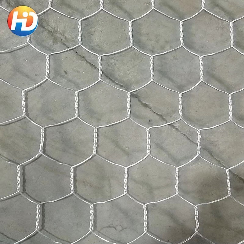 Good Selling Hot Dipped Galvanized Small Hole 1/4 Inch Chicken Wire Panels