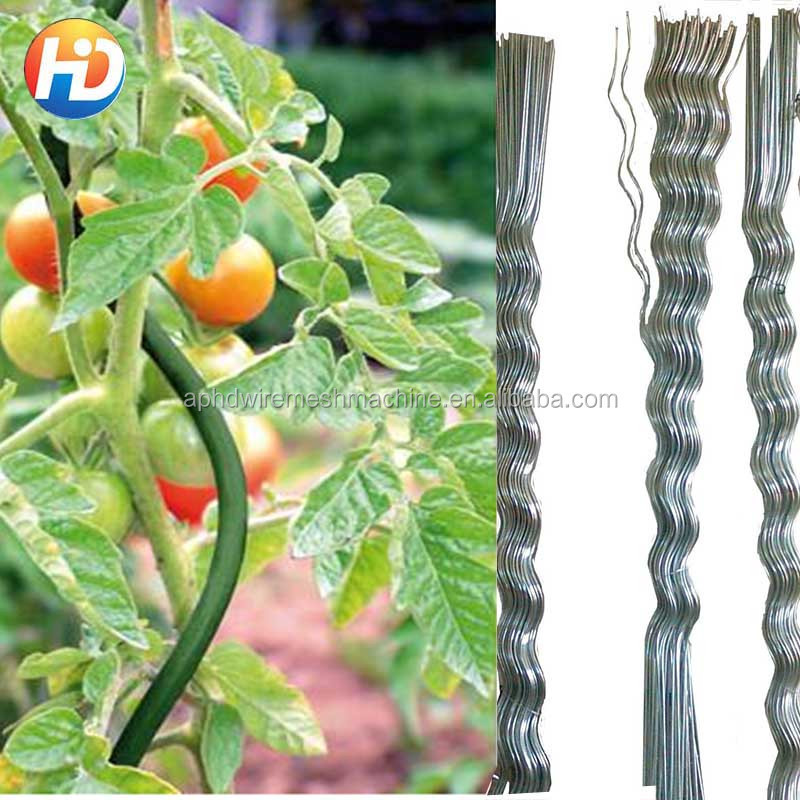 tomato spiral wire/plant support wire/ tomato growing stake