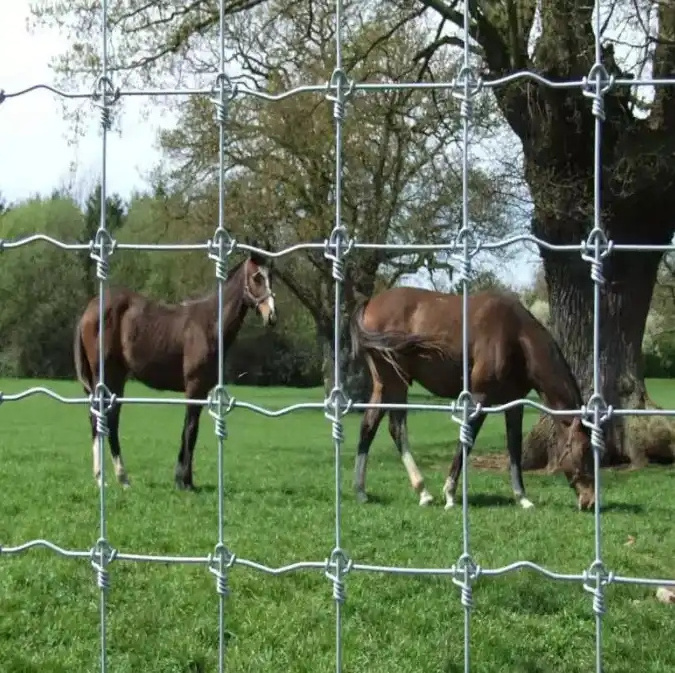 Factory price  galvanized grassland wire mesh fence cattle / sheep / field / deer farm fence