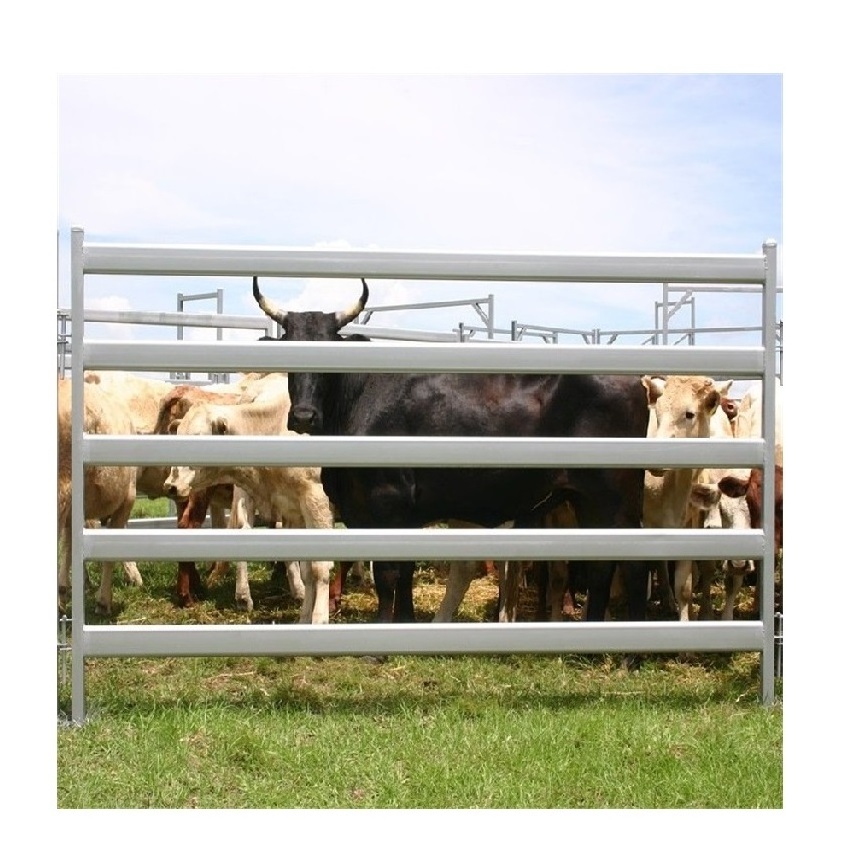 Hot Sale Durable Custom Used Heavy Duty Galvanized Steel Pipe Livestock Cattle Metal Farm Gate Design