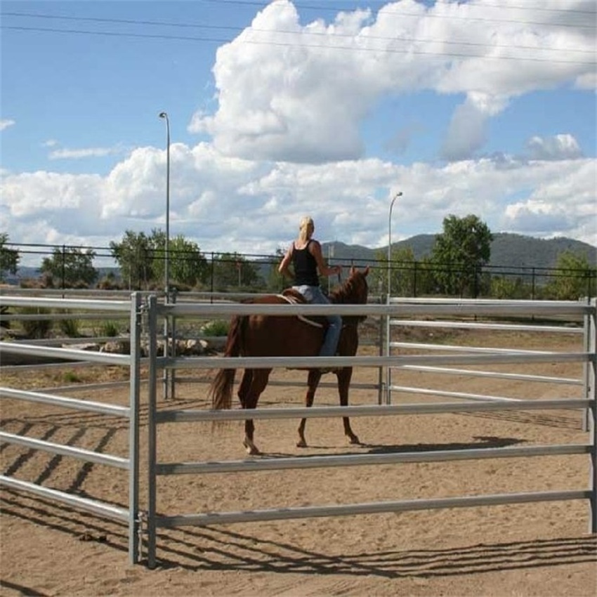 Hot Sale Durable Custom Used Heavy Duty Galvanized Steel Pipe Livestock Cattle Metal Farm Gate Design