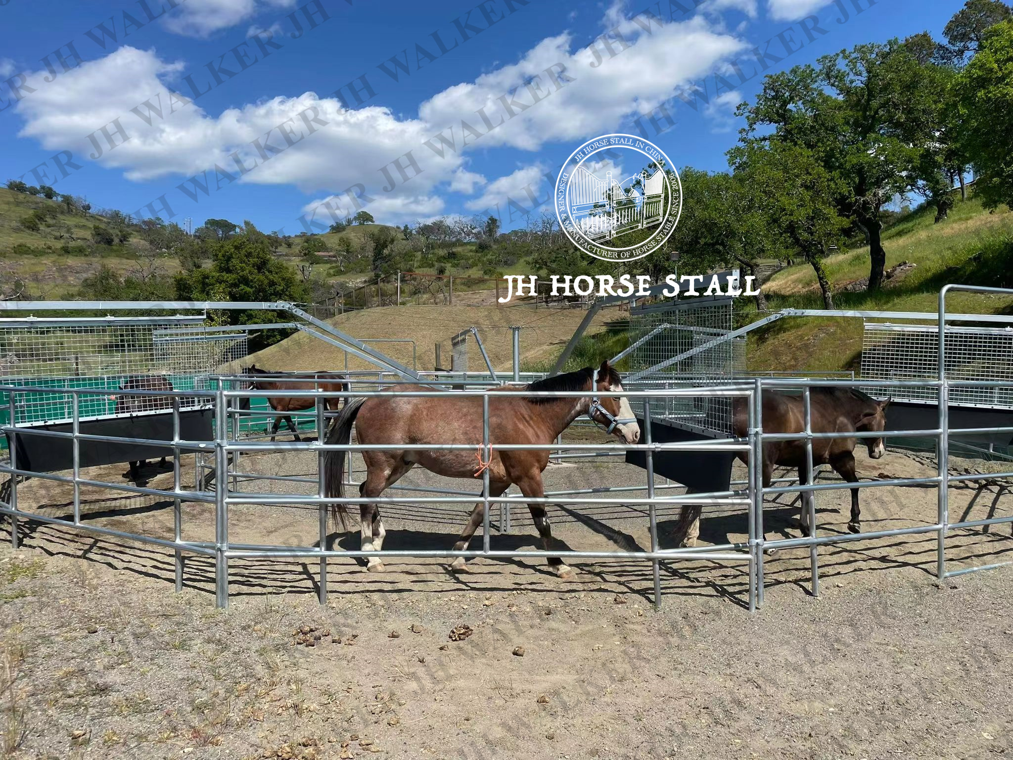 Horse Walker Trainer Equine Horses Health Strong Machine horse to exercise with fence and roof