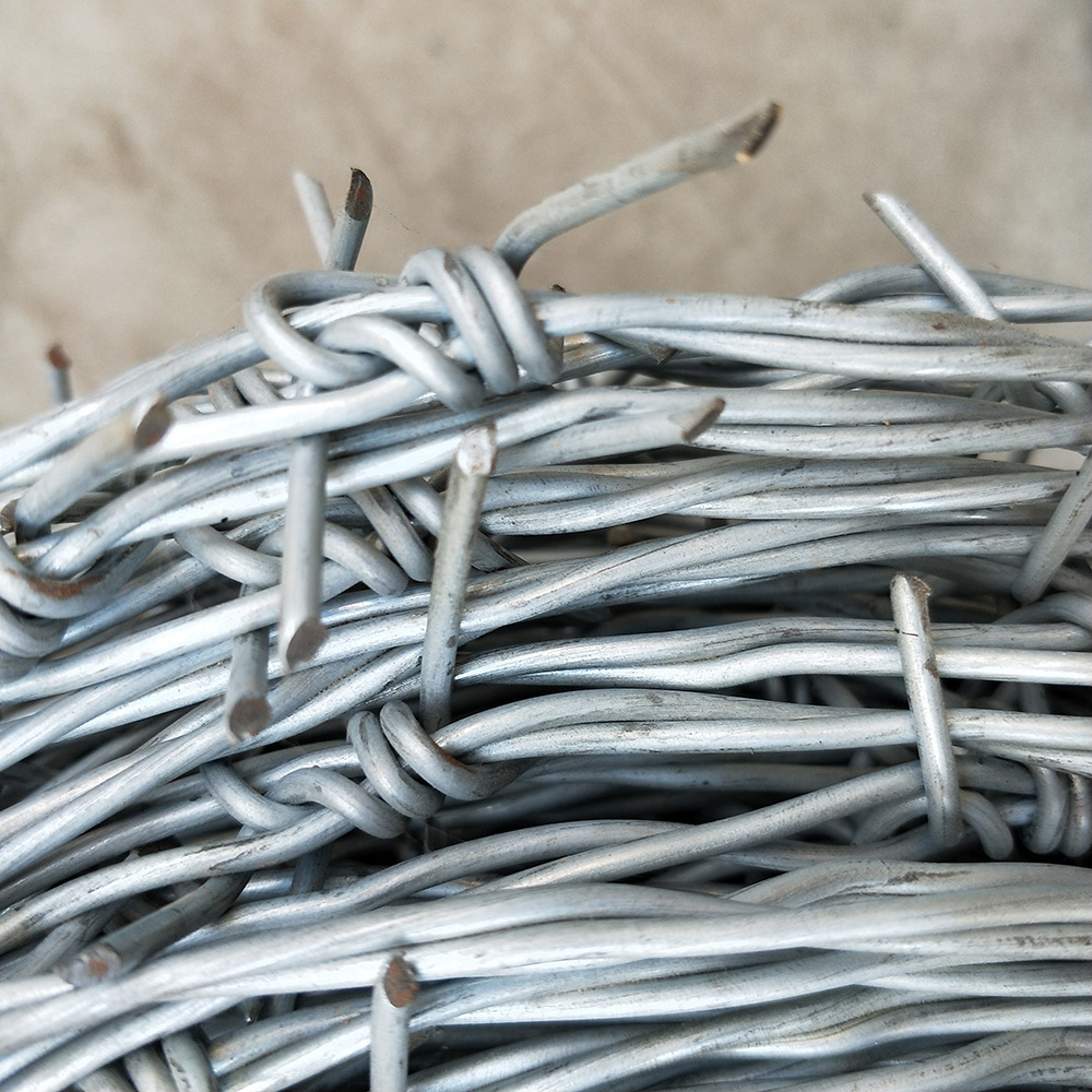 Single Twisted Barbed Wire Roll Double Twisted Barbed Wire Fence Galvanized Barbed Wire