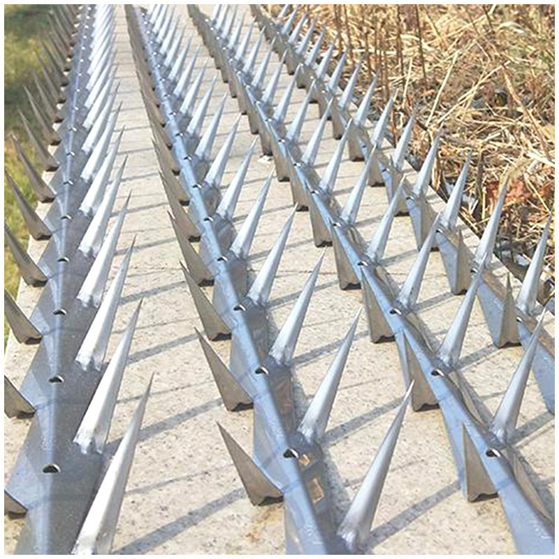 Security Galvanized Razor Wall Spike Anti Climb Wall Spikes Razor Spikes