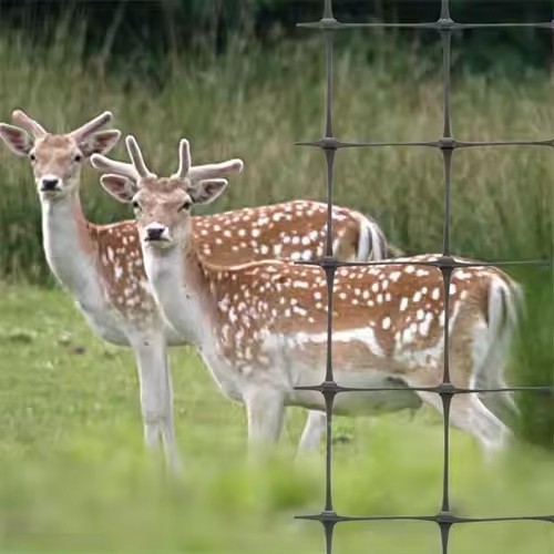 Prevention and control net of deer, rabbit and mole plastic stretching fence net