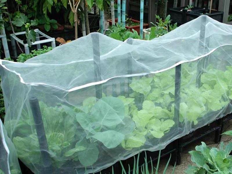 HDPE horticulture and agriculture anti insect mesh insect proof netting for covering plants