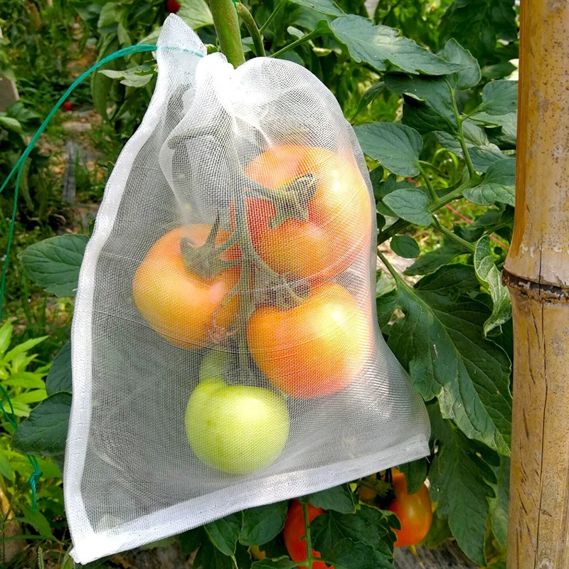 Plastic Fruit Cover Drawstring Insect Proof Net Bag Fruit Net Anti Pest Bird Aphid