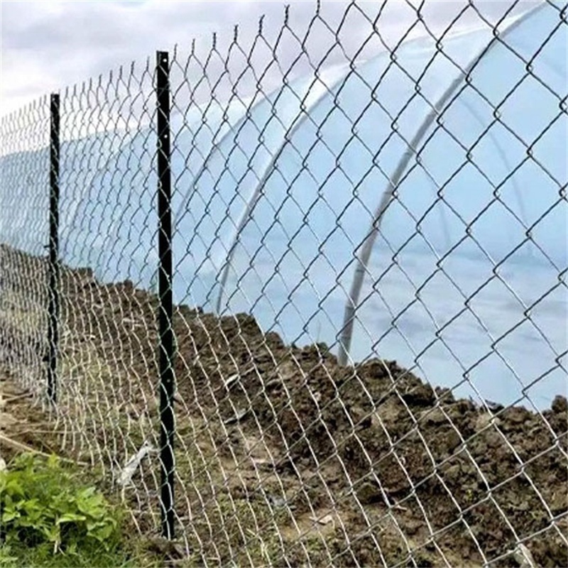 Chain Link Fence For Basketball Court And Protective Net