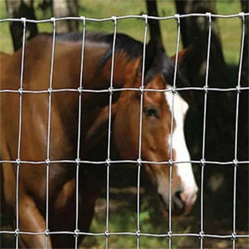 4ft 5ft 6ft 8ft Height Pasture Fence Goat Farming Grassland Cheap Field Fence