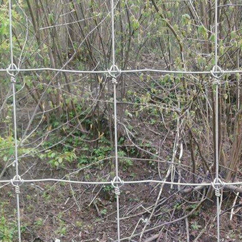 Field Fence Farming Galvanized Wire Mesh Net Graduated Mesh Galvanized Field Fence