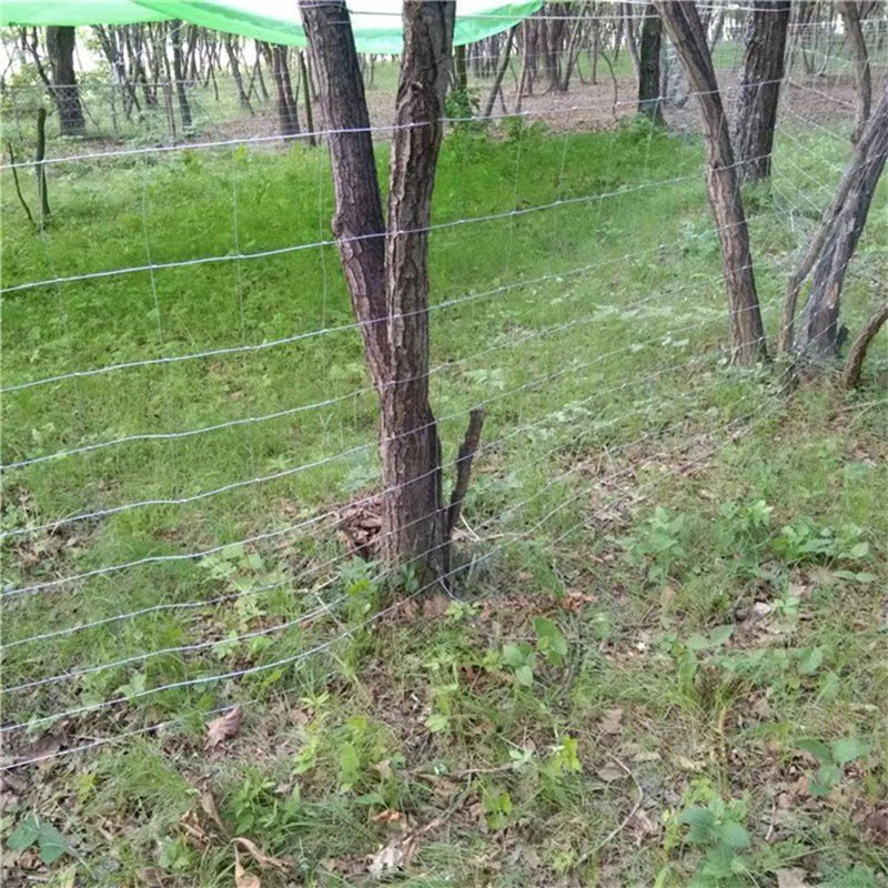 Electric Fence For Animals Galvanized Sheep Farm Net Cattle Fence Goat Farming Sheep Farm/Field/Deer Fence Net