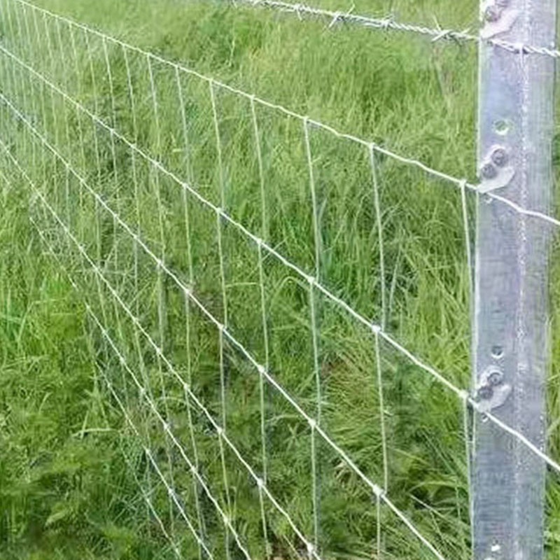 Field Fence Farming Galvanized Wire Mesh Net Graduated Mesh Galvanized Field Fence