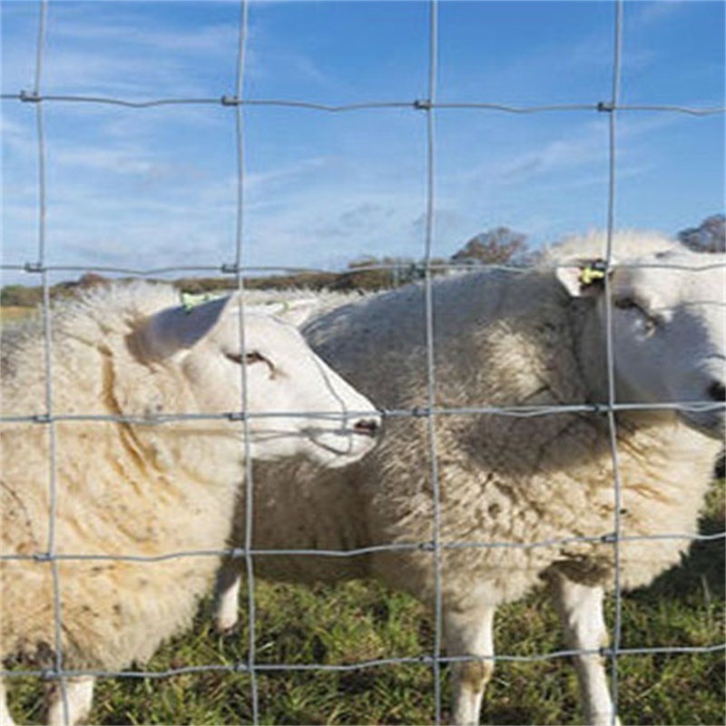 4ft 5ft 6ft 8ft Height Pasture Fence Goat Farming Grassland Cheap Field Fence