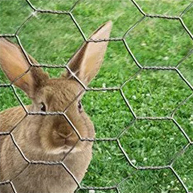 Galvanized /pvc Coated Hexagonal Wire Mesh Chicken Fence For Poultry Farm Mesh Net