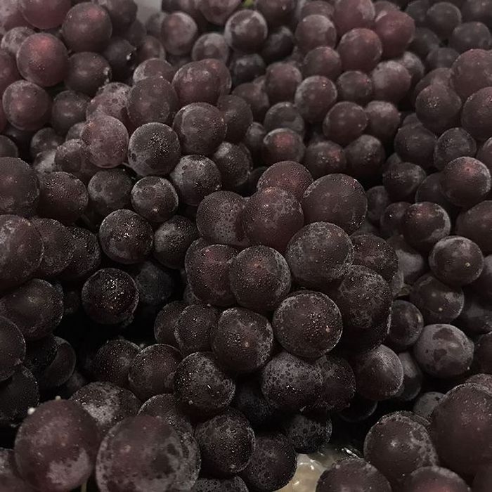 Fresh Japanese Seedless Delaware Grape Pack from Shimane