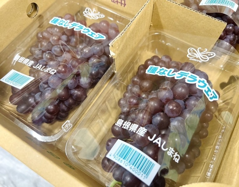 Fresh Japanese Seedless Delaware Grape Pack from Shimane