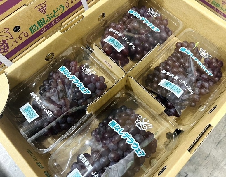 Fresh Japanese Seedless Delaware Grape Pack from Shimane