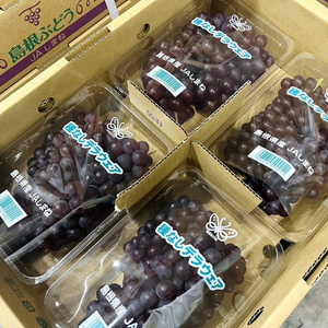 Fresh Japanese Seedless Delaware Grape Pack from Shimane