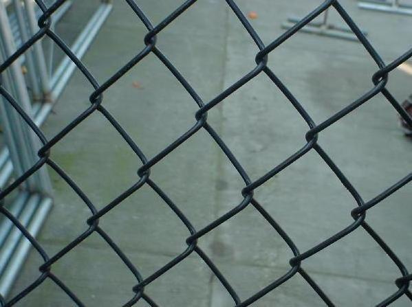 Chain Link Fence for Sale Cheap Garden Used Galvanized and PVC Fencing, Trellis & Gates Iron Metal Powder Coated