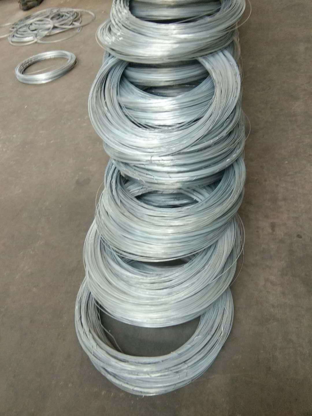 Heavy Duty Hanging Wire 100ft