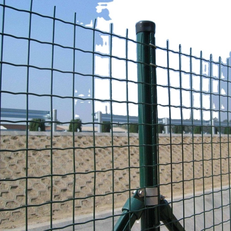 Black PVC galvanized welded wire mesh holland bird guard squirrel mesh fence