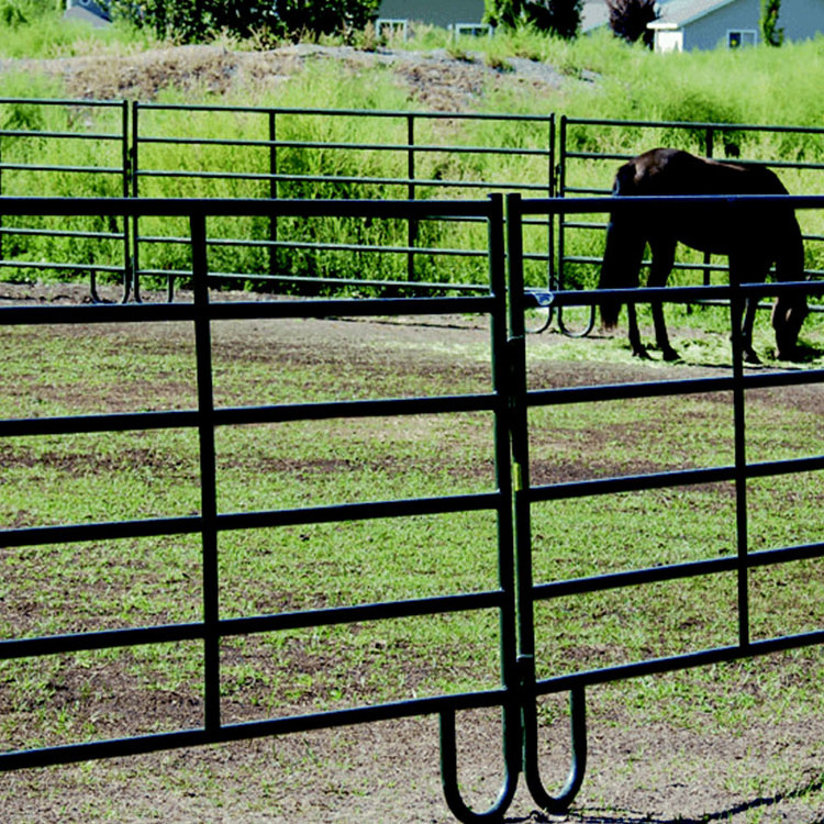 Australia standard 16 cattle horse panel fence heavy duty steel cattle corral panel