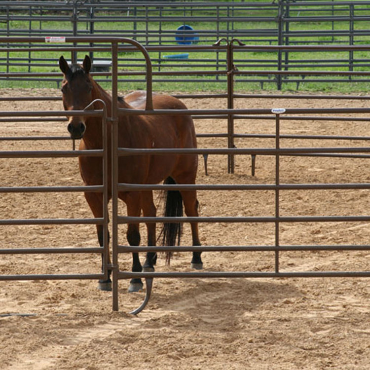 Corral panels portable prefa cheap horse stable door side stall  fence panels