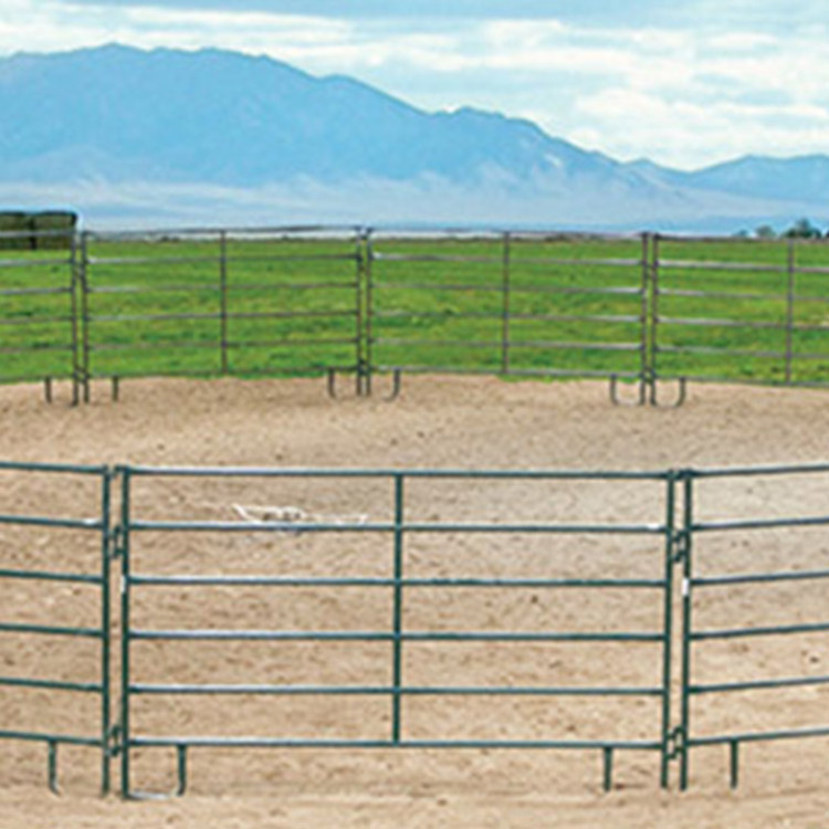 Corral panels portable prefa cheap horse stable door side stall  fence panels