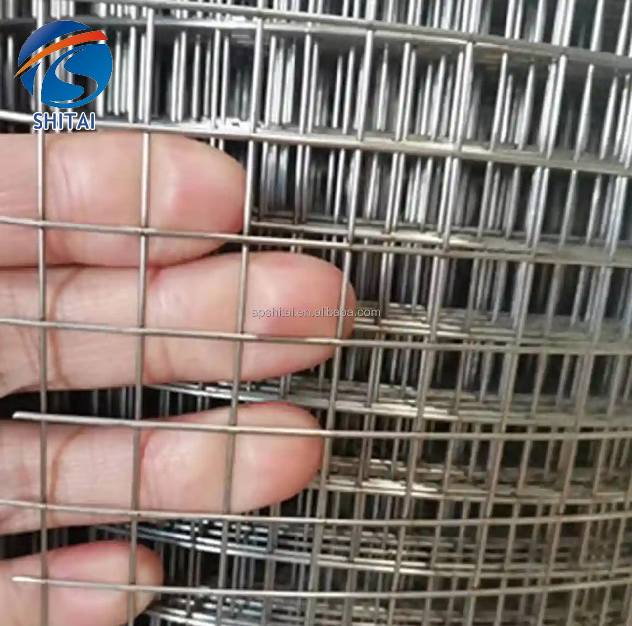 multiple sizes welded wire mesh roll anti climb welded wire mesh for chicken safe fence galvanized welded wire mesh fence panels