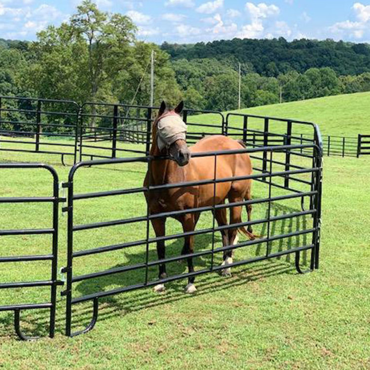 Australia standard 16 cattle horse panel fence heavy duty steel cattle corral panel