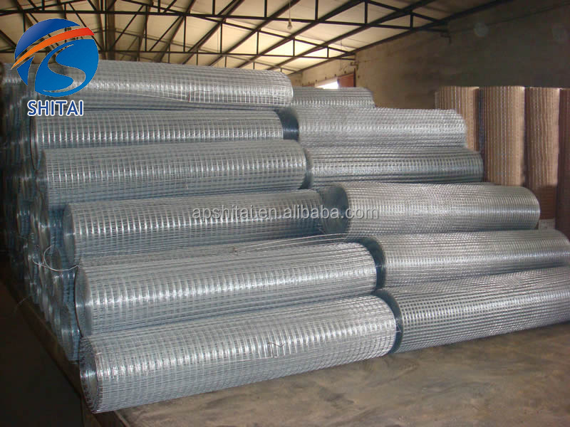 multiple sizes welded wire mesh roll anti climb welded wire mesh for chicken safe fence galvanized welded wire mesh fence panels