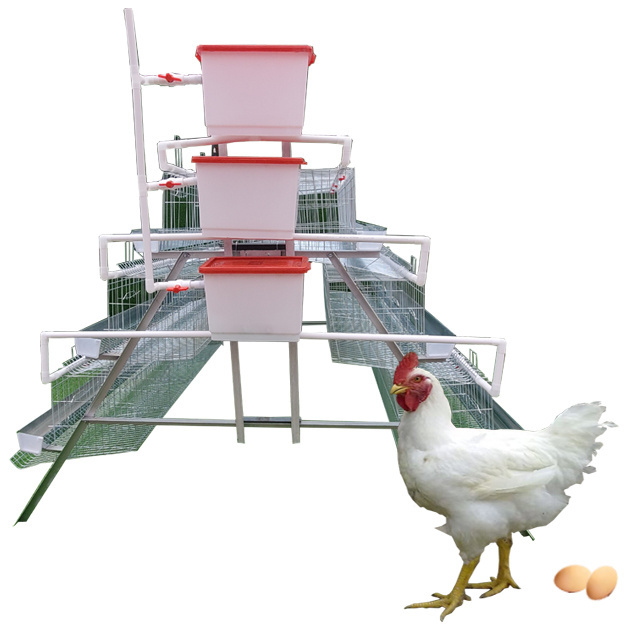 Hot sale 120 Birds Egg layers 4 Tiers Egg layer Chicken Cage Factory Home Used