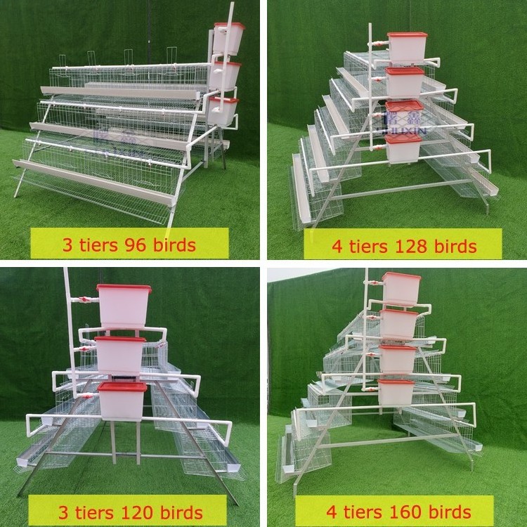 H type fully automatic egg collection chicken cages egg layer chicken cage for modern chicken poultry farm