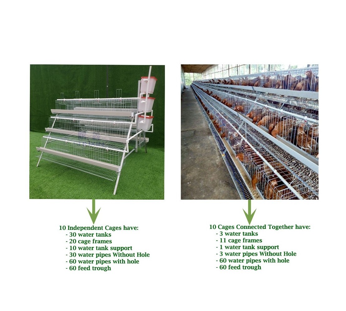 5000 Layers Poultry Farm Design Use Galvanized Semi Automatic Layer Chicken Cage H Type or A Type Battery Cage for Sale