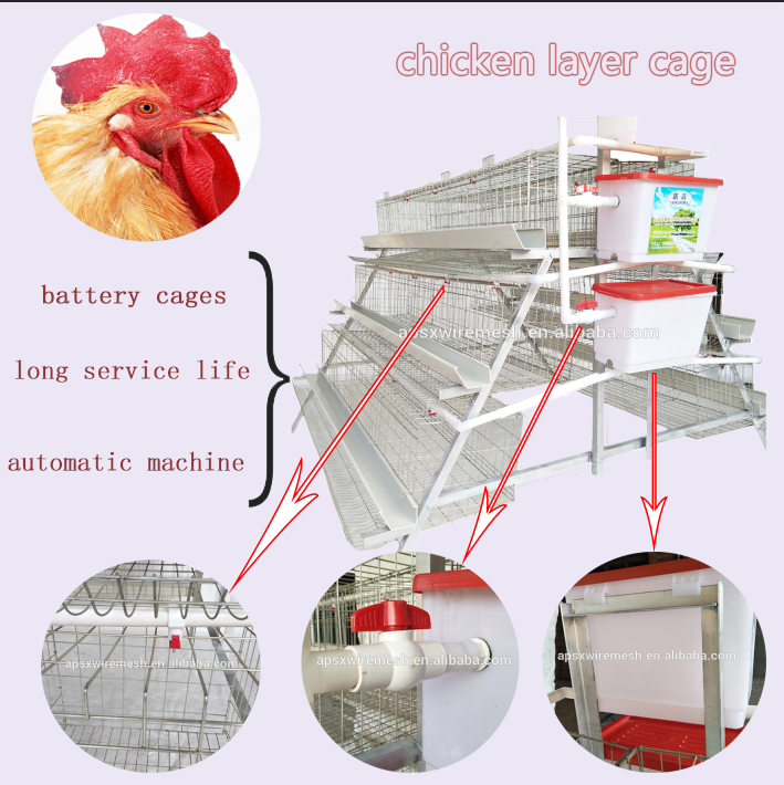 5000 Layers Poultry Farm Design Use Galvanized Semi Automatic Layer Chicken Cage H Type or A Type Battery Cage for Sale